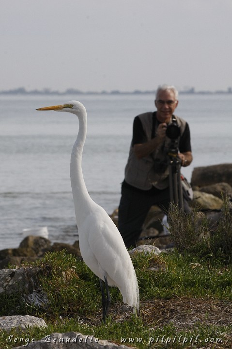 2009-01-04 14-55-43__MG_9845.JPG
